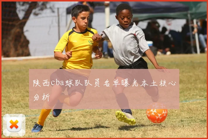 陕西cba球队队员名单曝光本土核心分析