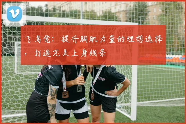 飞鸟凳：提升胸肌力量的理想选择，打造完美上身线条