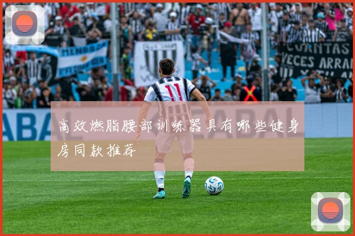 高效燃脂腰部训练器具有哪些健身房同款推荐
