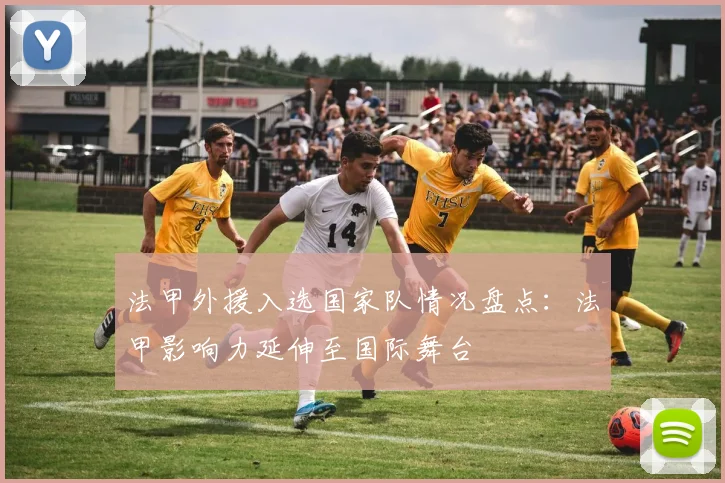 法甲外援入选国家队情况盘点：法甲影响力延伸至国际舞台