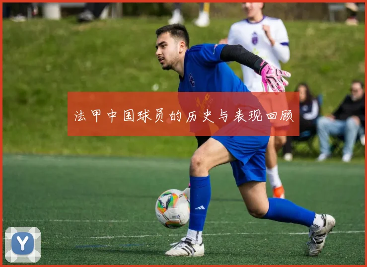 法甲中国球员的历史与表现回顾